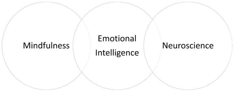 SIY Circles How to Drive Results Wellbeing with PeopleCentric Leadership How to Drive Results Wellbeing with PeopleCentric Leadership Mindfulness + Emotional Intelligence + Neuroscience = SIY